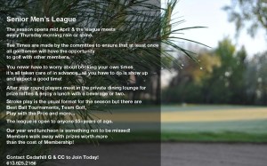 senior league info