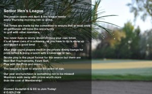 senior league rules